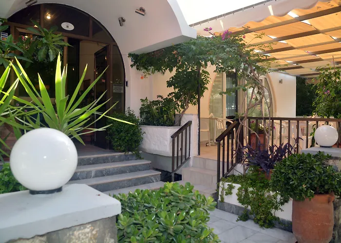 Hotel Paradise Kos Town